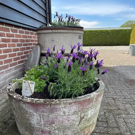 Ferienhaus 'onze Knoerishoeve' *