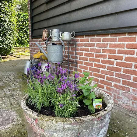 Ferienhaus 'onze Knoerishoeve' Odiliapeel